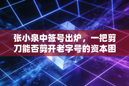 张小泉中签号出炉,一把剪刀能否剪开老字号的资本困局?