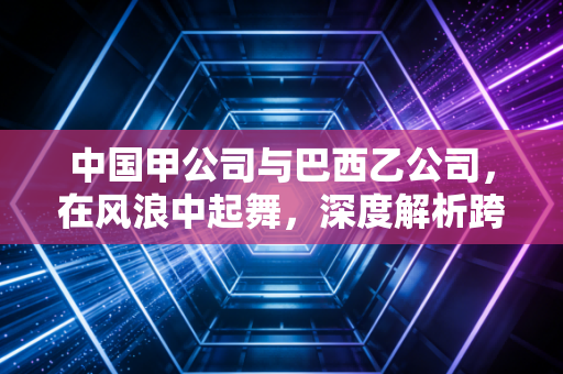 中国甲公司与巴西乙公司,在风浪中起舞,深度解析跨境供应链的韧性与博弈