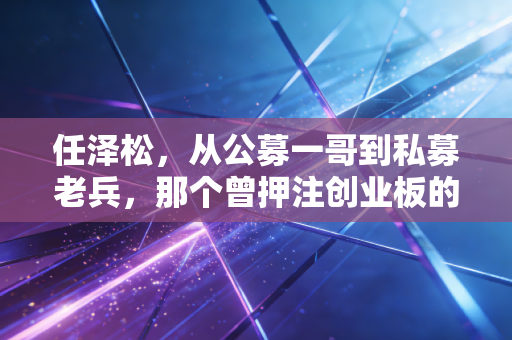 任泽松,从公募一哥到私募老兵,那个曾押注创业板的男人教会了我们什么?