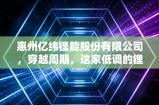 惠州亿纬锂能股份有限公司，穿越周期，这家低调的锂电巨头如何点亮我们的未来？