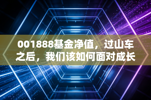001888基金净值,过山车之后,我们该如何面对成长股的极致波动?