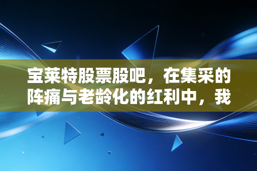 宝莱特股票股吧,在集采的阵痛与老龄化的红利中,我们该如何审视这只医疗器械股?