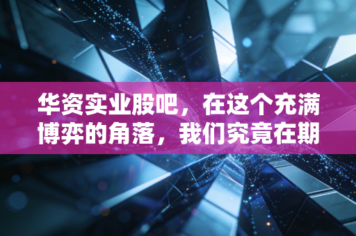 华资实业股吧，在这个充满博弈的角落，我们究竟在期待什么？