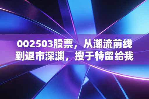 002503股票，从潮流前线到退市深渊，搜于特留给我们的血泪启示