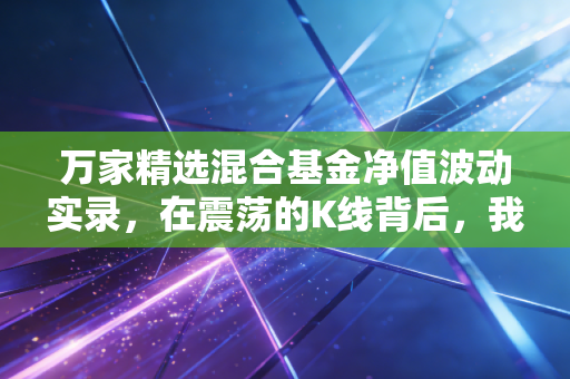 万家精选混合基金净值波动实录,在震荡的K线背后,我们该如何安放那颗躁动的投资心?