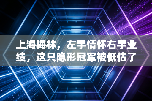 上海梅林,左手情怀右手业绩,这只隐形冠军被低估了吗?