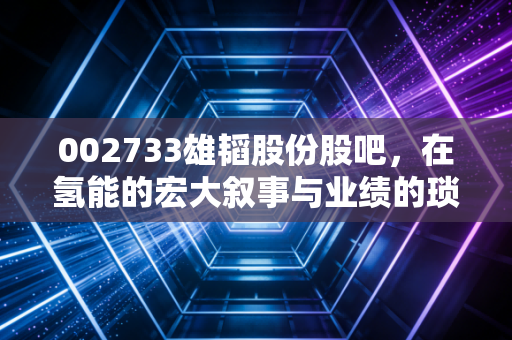 002733雄韬股份股吧,在氢能的宏大叙事与业绩的琐碎现实之间,散户该如何自处?