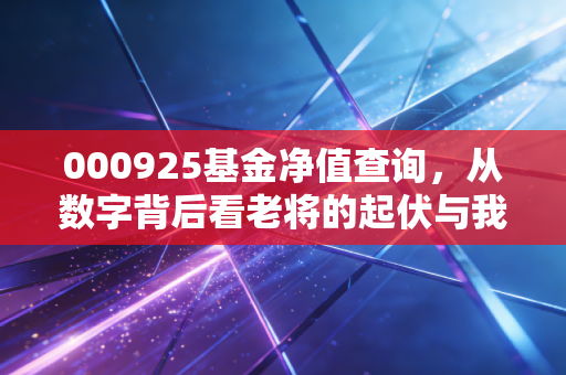 000925基金净值查询,从数字背后看老将的起伏与我们的投资心态