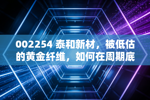002254 泰和新材,被低估的黄金纤维,如何在周期底部熬出未来?