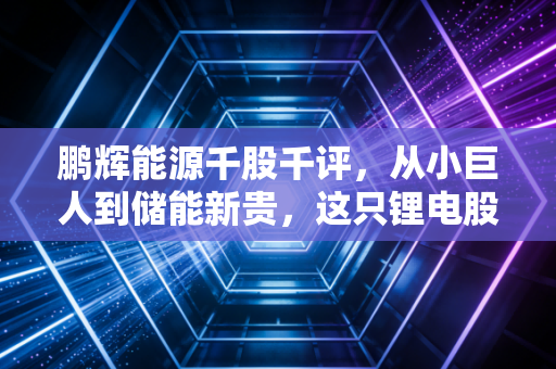 鹏辉能源千股千评,从小巨人到储能新贵,这只锂电股还能打吗?