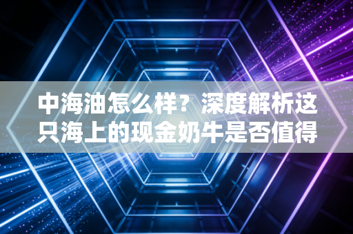 中海油怎么样?深度解析这只海上的现金奶牛是否值得你长期持有