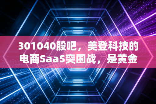 301040股吧,美登科技的电商SaaS突围战,是黄金坑还是接盘侠?