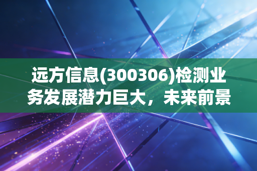 远方信息(300306)检测业务发展潜力巨大，未来前景可期！
