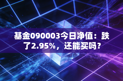 基金090003今日净值：跌了2.95%，还能买吗？