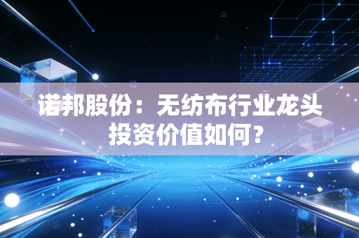 诺邦股份：无纺布行业龙头  投资价值如何？
