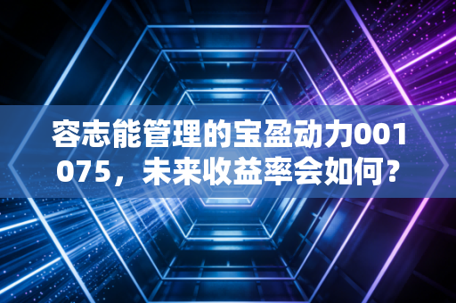 容志能管理的宝盈动力001075，未来收益率会如何？