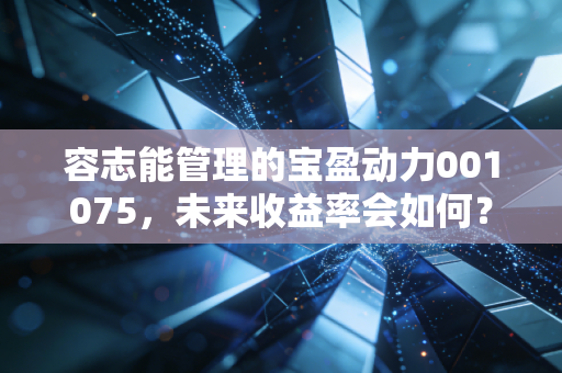 容志能管理的宝盈动力001075，未来收益率会如何？