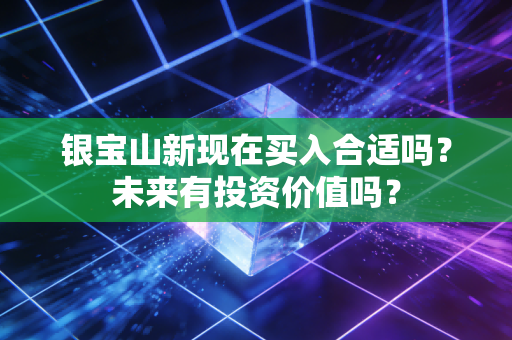 银宝山新现在买入合适吗?未来有投资价值吗?