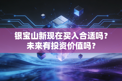 银宝山新现在买入合适吗?未来有投资价值吗?