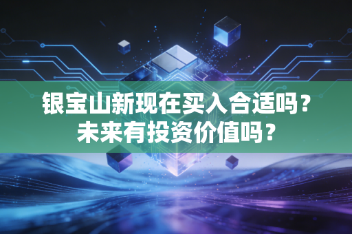 银宝山新现在买入合适吗?未来有投资价值吗?
