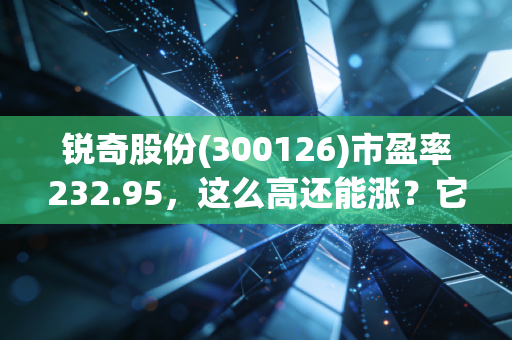 锐奇股份(300126)市盈率232.95，这么高还能涨？它到底值不值这个价钱呢？