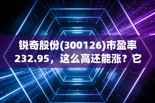锐奇股份(300126)市盈率232.95，这么高还能涨？它到底值不值这个价钱呢？
