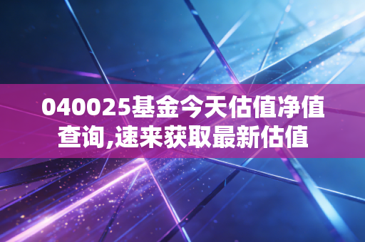 040025基金今天估值净值查询,速来获取最新估值