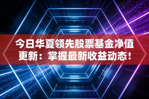 今日华夏领先股票基金净值更新：掌握最新收益动态！