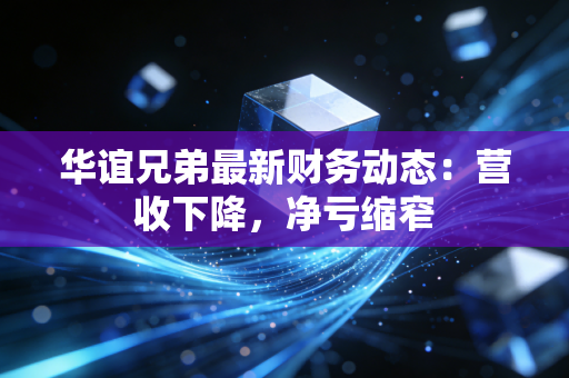华谊兄弟最新财务动态：营收下降，净亏缩窄