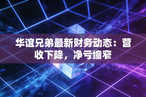 华谊兄弟最新财务动态：营收下降，净亏缩窄