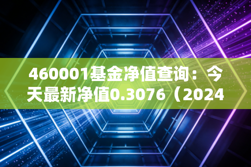 460001基金净值查询：今天最新净值0.3076（2024年11月15日）