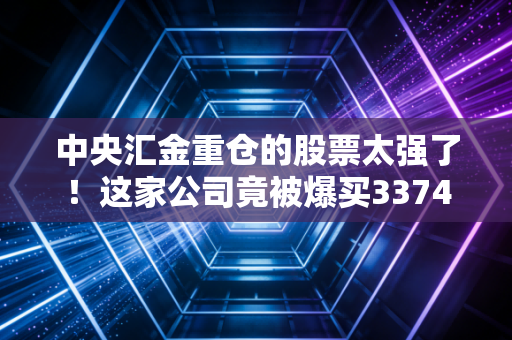 中央汇金重仓的股票太强了!这家公司竟被爆买3374万股!