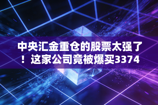 中央汇金重仓的股票太强了！这家公司竟被爆买3374万股！