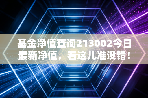 基金净值查询213002今日最新净值,看这儿准没错!