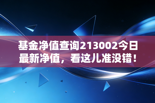 基金净值查询213002今日最新净值,看这儿准没错!