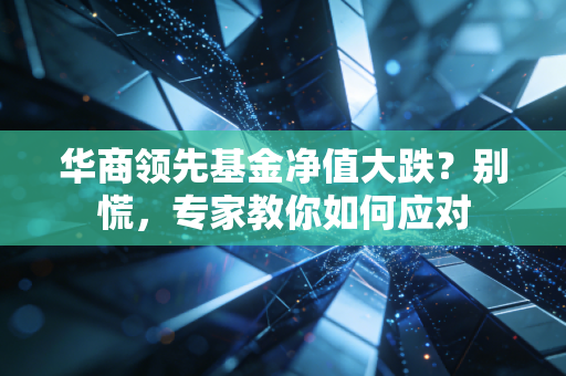 华商领先基金净值大跌？别慌，专家教你如何应对