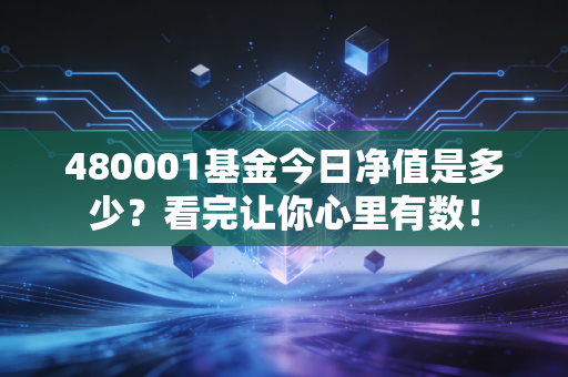 480001基金今日净值是多少?看完让你心里有数!