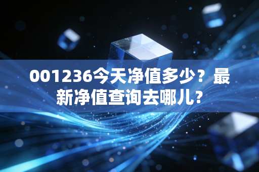 001236今天净值多少？最新净值查询去哪儿？