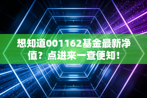 想知道001162基金最新净值？点进来一查便知！