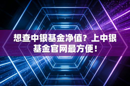 想查中银基金净值?上中银基金官网最方便!
