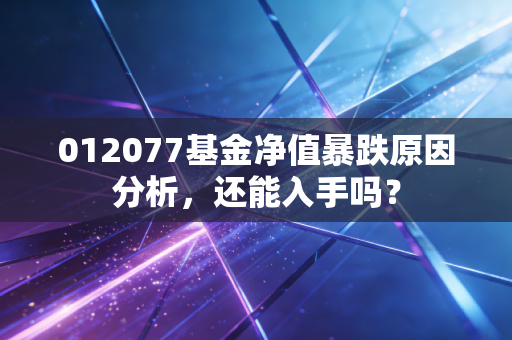 012077基金净值暴跌原因分析，还能入手吗？