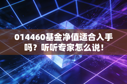 014460基金净值适合入手吗？听听专家怎么说！