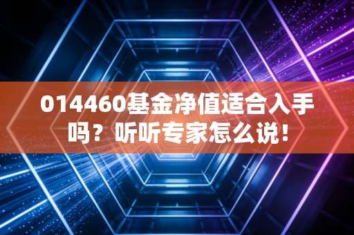 014460基金净值适合入手吗？听听专家怎么说！