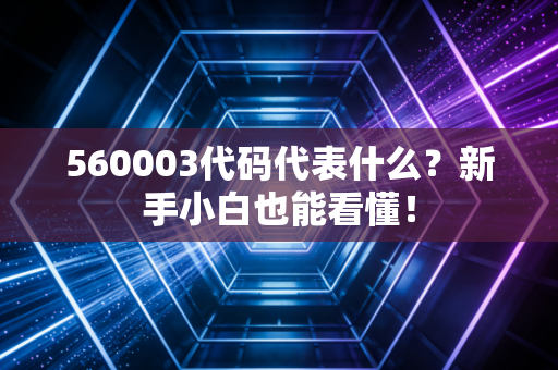 560003代码代表什么？新手小白也能看懂！