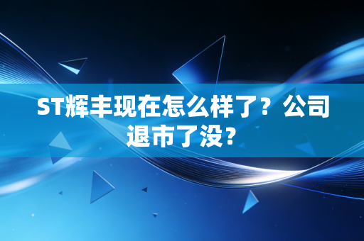 ST辉丰现在怎么样了？公司退市了没？