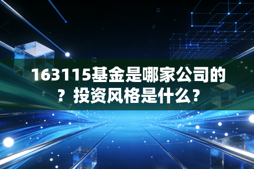 163115基金是哪家公司的？投资风格是什么？