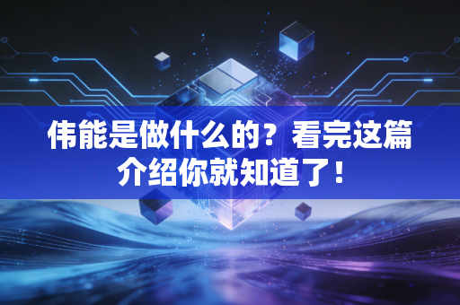 伟能是做什么的?看完这篇介绍你就知道了!