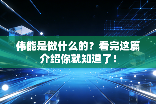 伟能是做什么的？看完这篇介绍你就知道了！