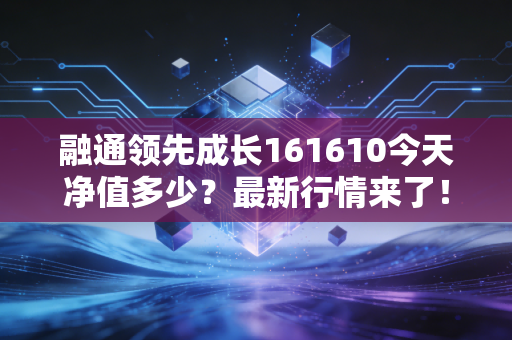 融通领先成长161610今天净值多少?最新行情来了!