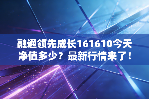 融通领先成长161610今天净值多少?最新行情来了!